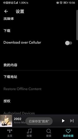 tidal中文版