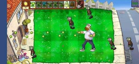 植物大战戴夫Plant vs Zombie