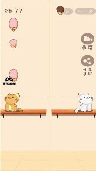 Cat Academy Music