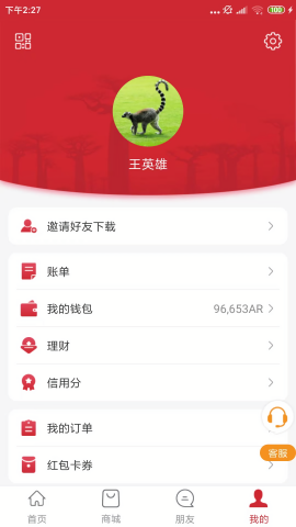 马达加斯加在线