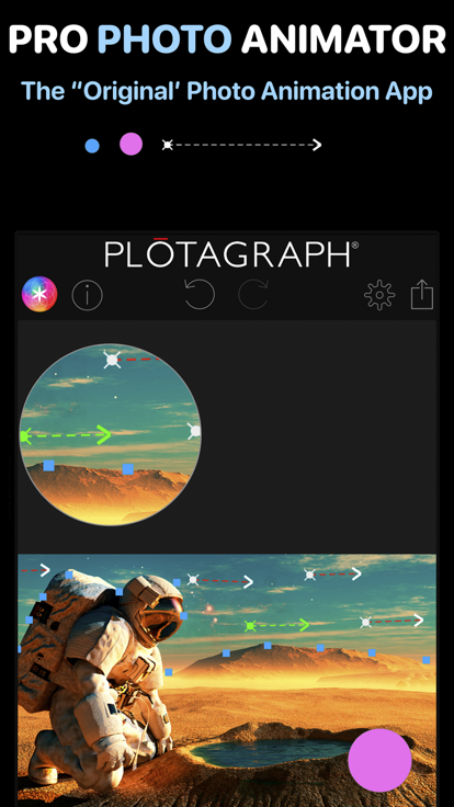 plota