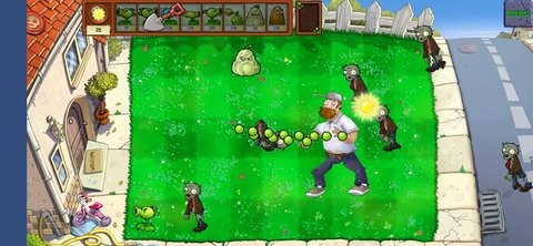 植物大战戴夫Plant vs Zombie