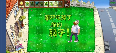 植物大战戴夫Plant vs Zombie