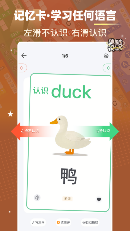 单词鸭
