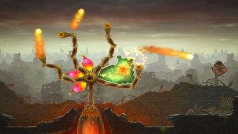 mushroom11