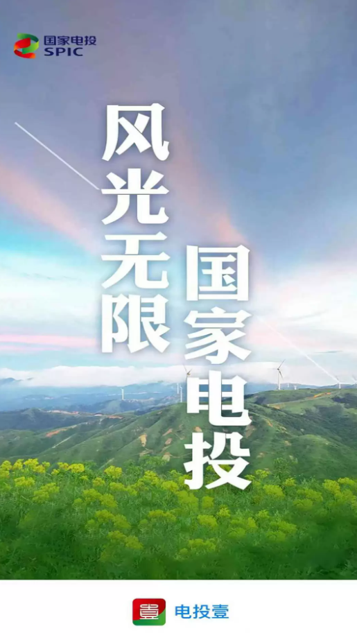 电投壹