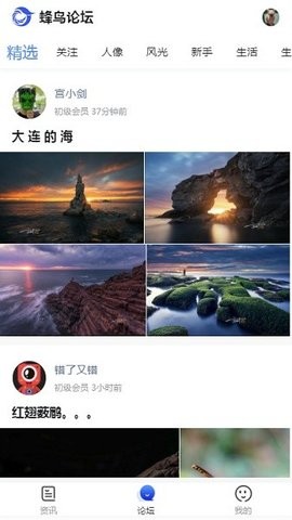 蜂鸟摄影论坛生活版