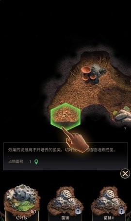 模拟地下蚁国无限食物