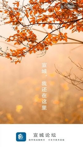 宣城论坛人才网