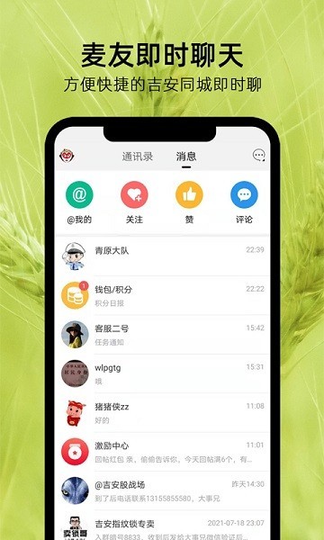 麦地网