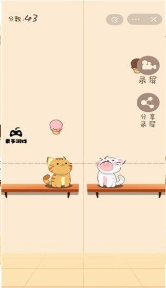 Cat Academy Music