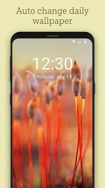 wallpaper手机壁纸