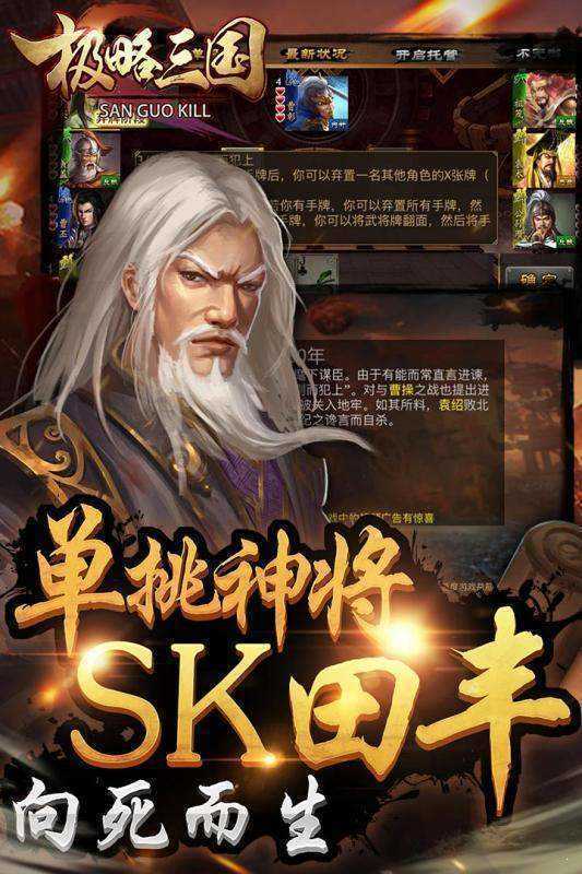 极略三国全神将存档版