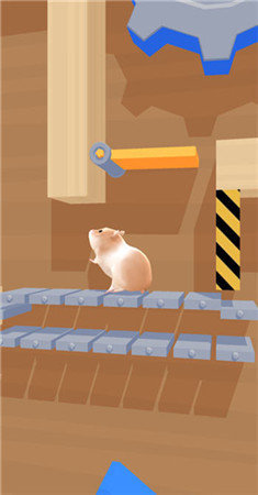 仓鼠向前冲(Hamster Maze)