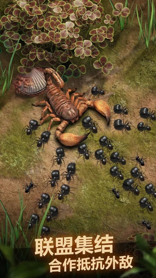 The Ants