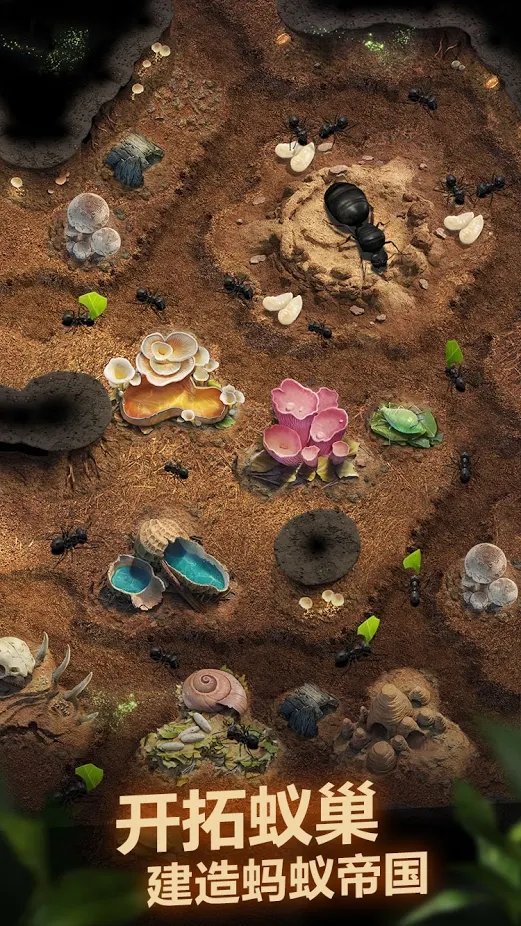 The Ants