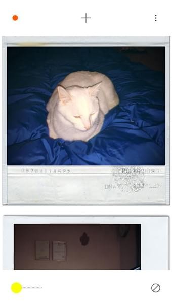 PLOT相机