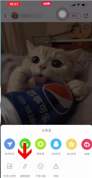 小红书app下载
