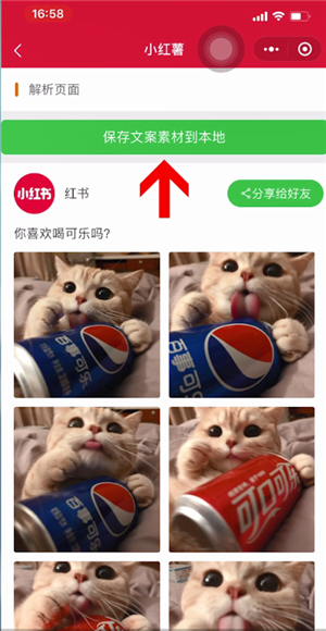 小红书app下载