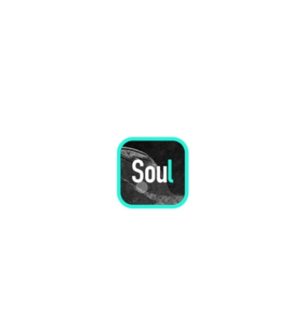 灵魂soul软件