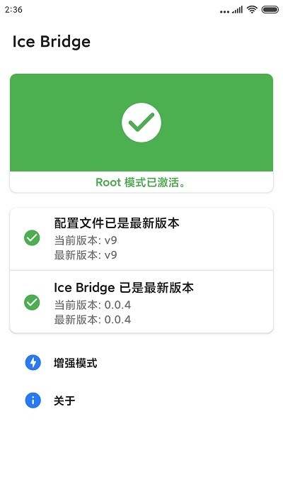 Ice Bridge