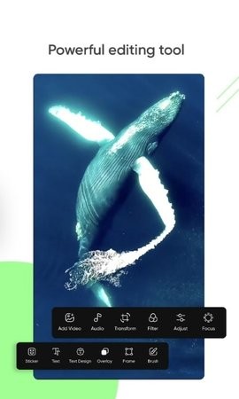 vestudio