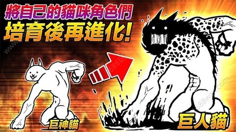 猫咪大作战全无限版