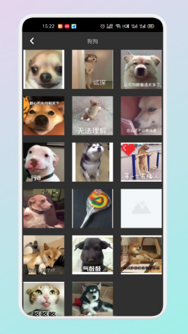文案表情狗