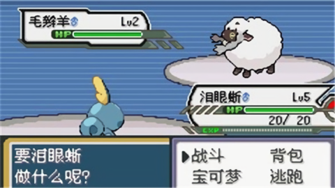 精灵宝可梦剑盾