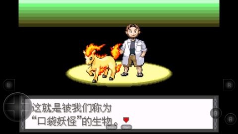 口袋妖怪命运之轮