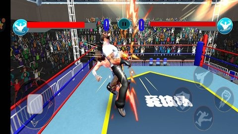 格斗之王2炫斗版攻略