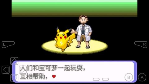 精灵宝可梦刽曜之影