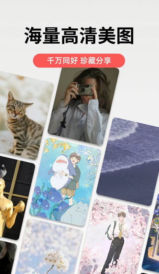 堆糖免费版