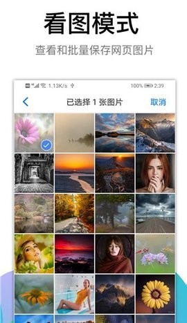 黑狮浏览器付费解锁版