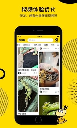 爬宠网