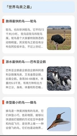 青鸟看看