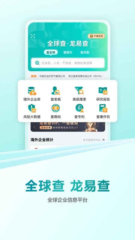 龙易查