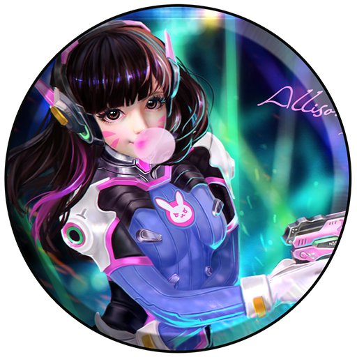 守望先锋D.va