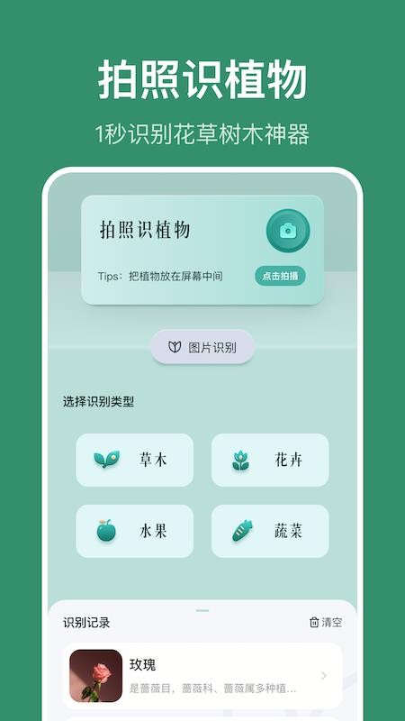 识花草 识花草